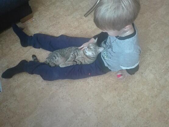 21032718_2036420793050374_6682661123028767586_n